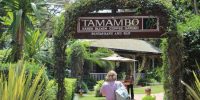 tamambo-karen-blixen