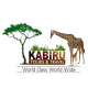 Kabiru Tours and Travel